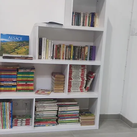 Lejlighed Spacieux Et Serein Avec Patio, Barbecue Et Wifi Guebwiller