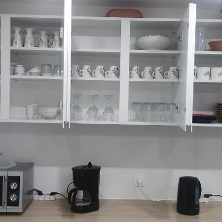 Spacieux Et Serein Avec Patio, Barbecue Et Wifi Apartment Guebwiller