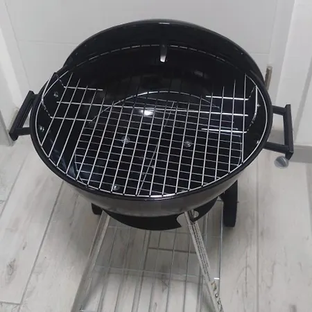 Spacieux Et Serein Avec Patio, Barbecue Et Wifi Lejlighed Guebwiller