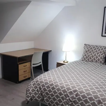 Spacieux Et Serein Avec Patio, Barbecue Et Wifi Apartmán Guebwiller