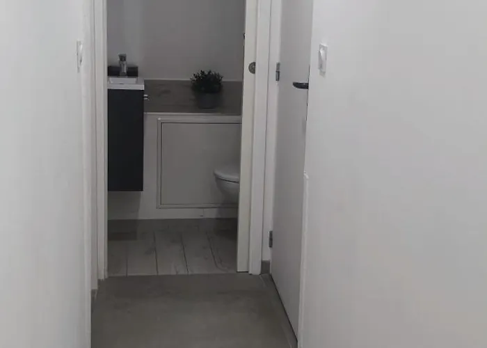 Spacieux Et Serein Avec Patio, Barbecue Et Wifi Apartment Guebwiller