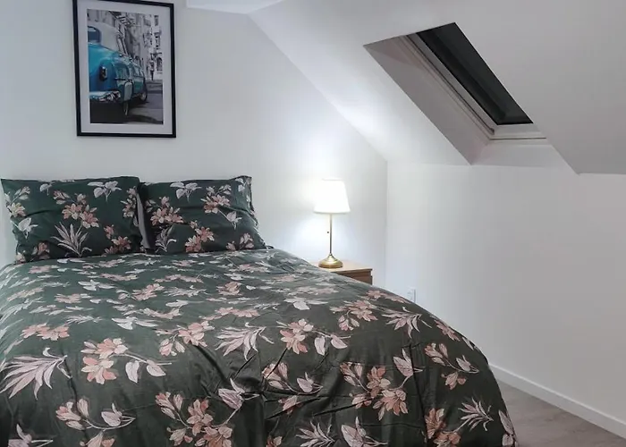 Spacieux Et Serein Avec Patio, Barbecue Et Wifi