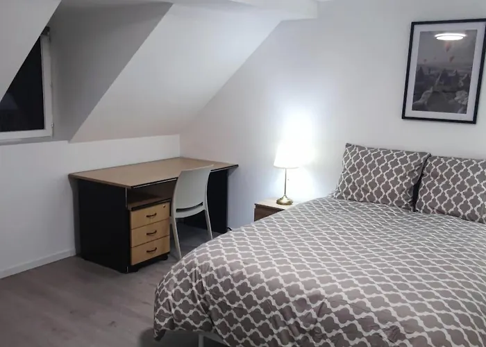 Spacieux Et Serein Avec Patio, Barbecue Et Wifi Apartment Guebwiller